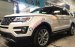 Ford Thủ Đô bán xe Ford Explorer nhập Mỹ 2018 đủ màu, giao xe sớm, hỗ trợ trả góp nhanh gọn - LH: 0975434628