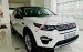 Land Rover Discovery Sport SE - xe 07 chỗ, nhập Anh Quốc, giá từ 2,8 tỷ