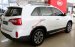 Bán Kia Sorento GAT đời 2017, màu trắng