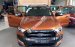 Bán xe Ford Ranger Wildtrak 3.2 Sync3 - Cam kết giá tốt nhất hệ thống - 0934799119