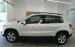 Tiguan màu trắng nhập mới 100% - Quang Long 0933689294