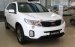 Bán Kia Sorento GAT đời 2017, màu trắng