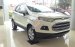 Cần bán xe Ford EcoSport 1.5P ​​Trend MT mới tại Điện Biên, màu trắng, giá cạnh tranh