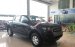 Cần bán Ford Ranger XLS MT sản xuất 2017, màu đen, nhập khẩu