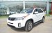 Bán ô tô Kia Sorento GAT 2017, màu trắng, giá 789tr