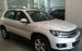 Tiguan màu trắng nhập mới 100% - Quang Long 0933689294