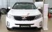 Bán Kia Sorento GAT đời 2017, màu trắng