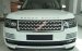 Bán xe Landrover Range Rover HSE, Range Rover Vogue 2017 màu trắng, đen, xanh. Gọi 0918842662