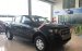 Cần bán Ford Ranger XLS MT sản xuất 2017, màu đen, nhập khẩu