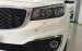 Kia Giải Phóng - Bán xe Kia Sedona, Lh: 00989116855 để biết thêm thông tin về xe và ưu đãi