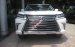 Bán ô tô Lexus LX 570 5.7 AT đời 2016, màu trắng, nhập khẩu