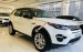 Land Rover Discovery Sport SE - xe 07 chỗ, nhập Anh Quốc, giá từ 2,8 tỷ