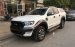 Bán các phiên bản Ford Ranger Wildtrak 2017 giá rẻ tại Cao Bằng, hỗ trợ trả góp hơn 80% giao xe ngay