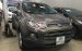 Cần bán lại xe Ford EcoSport Titanium 1.5AT sản xuất 2016, màu nâu giá cạnh tranh