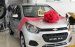 Thuế 2%, 4,5lit/100km, chở tải gần 300kg, Chevrolet Spark Duo 2018, trả góp: 75 triệu lấy xe, 0907148849