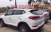 Cần bán xe Hyundai Tucson đời 2017, màu trắng, nhập khẩu nguyên chiếc, 760tr