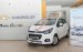Bán Chevrolet Spark DUO năm 2017, màu trắng, giá 299tr