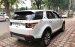 Bán ô tô LandRover Discovery Sport HSE đời 2017, màu trắng, xe nhập Mỹ giá tốt. LH: 0948.256.912