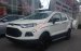 Bán xe EcoSport giá tốt nhất thị trường