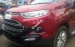 Bán Ford EcoSport MT, AT: Black Edition, Titanium 2017, hỗ trợ BHVC 2 chiều thủy kích và gói phụ kiện giá tốt nhất