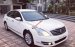 Bán Nissan Teana sản xuất 2010, màu trắng, nhập khẩu, giá chỉ 550 triệu