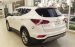 Bán xe Hyundai Santa Fe 2.2 AT 4WD đời 2017, màu trắng