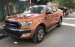 Cần bán lại xe Ford Ranger đời 2016, giá tốt, nhập khẩu, nguyên chiếc