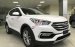 Chỉ cần 250 triệu có ngay Hyundai Santa Fe 7 chỗ máy dầu mới nhất tại Hyundai Bà Rịa Vũng Tàu