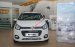 Bán Chevrolet Spark DUO năm 2017, màu trắng, giá 299tr