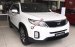 Bán ô tô Kia Sorento 2WD GAT đời 2018, màu trắng, giá chỉ 789 triệu