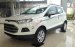 Bán Ford EcoSport 1.5L MT Trend 2017, màu trắng, giá bán thương lượng