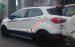 Bán xe EcoSport giá tốt nhất thị trường