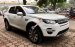 Bán ô tô LandRover Discovery Sport HSE đời 2017, màu trắng, xe nhập Mỹ giá tốt. LH: 0948.256.912