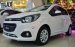 Đại lý chính hãng miền Nam phân phối Chevrolet Spark LT, trả góp trả trước 110 triệu, Hotline 0917118907