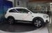 Chevrolet Captiva Revv 2017 - Bình Dương, Bình Phước, Đồng Nai, Tây Ninh