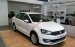 Polo Sedan Volkswagen xe thương hiệu Đức nhập khẩu, LH Quang Long 0933689294