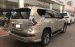 Bán ô tô Lexus GX 460 Luxury 2016, màu vàng cát, tên cá nhân