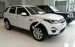 Bán LandRover Discovery Sport đời 2017 màu trắng, xanh, màu đỏ, đen + 5 năm bảo dưỡng - 0932222253