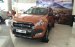 Bán ô tô Ford Ranger Wildtrak 3.2L 4x4 AT đời 2017, nhập khẩu, giá 925tr