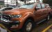 Cần bán Ford Ranger XLT 4x4_MT sản xuất 2017, màu cực lạ xe nhập, giá chỉ 790 triệu