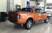 Bán ô tô Ford Ranger Wildtrak 3.2L 4x4 AT đời 2017, nhập khẩu, giá 925tr