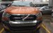 Cần bán Ford Ranger XLT 4x4_MT sản xuất 2017, màu cực lạ xe nhập, giá chỉ 790 triệu