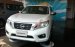 Bán Nissan Navara NP300 E một cầu, số sàn, model 2017, màu trắng, nhập khẩu