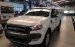 Bán Ford Ranger màu trắng, phiên bản Wildtrak 3.2 AT 4x4, hỗ trợ trả góp và hoàn thiện thủ tục xe