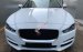 Cần bán xe Jaguar XE Prestige đời 2016, màu trắng, xe còn bảo hành, gọi 0932222253
