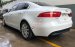 Cần bán xe Jaguar XE Prestige đời 2016, màu trắng, xe còn bảo hành, gọi 0932222253