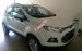 Cần bán Ford EcoSport Trend 1.5MT model 2017, giá chỉ 500 triệu, tặng gói Combo 10 triệu phụ kiện