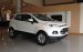 Ford Ecosport Titanium, giao toàn quốc, liên hệ 0963 483132 để có giá tốt nhất