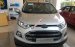 Ford Ecosport Titanium AT màu bạc giá tốt, đại lý bán Ford Ecosport đủ màu, giao ngay