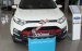 Cần bán xe Ford EcoSport Titanium AT đời 2017, màu trắng, giá chỉ 610 triệu